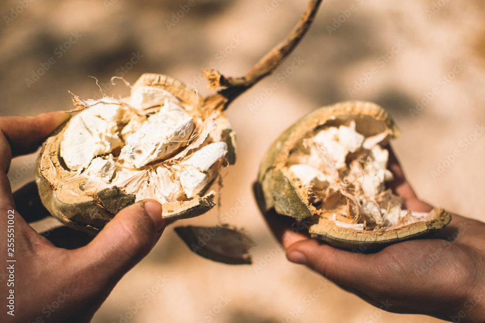 Organic Baobab Powder