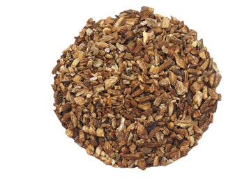 Burdock Root 