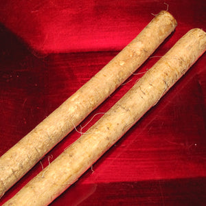 two fresh burdock root on a red tray