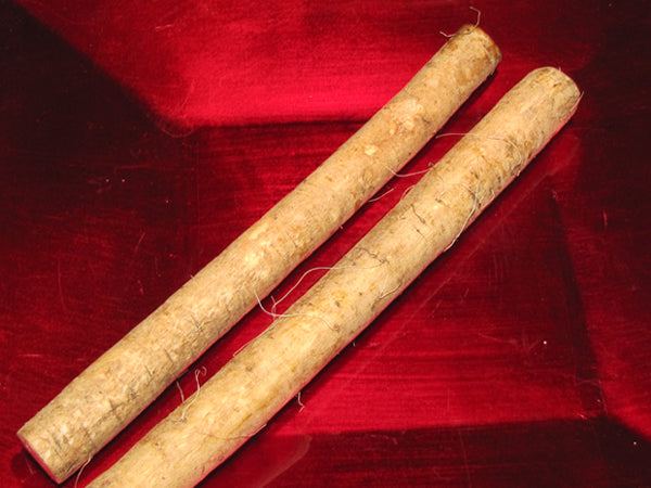 two fresh burdock root on a red tray