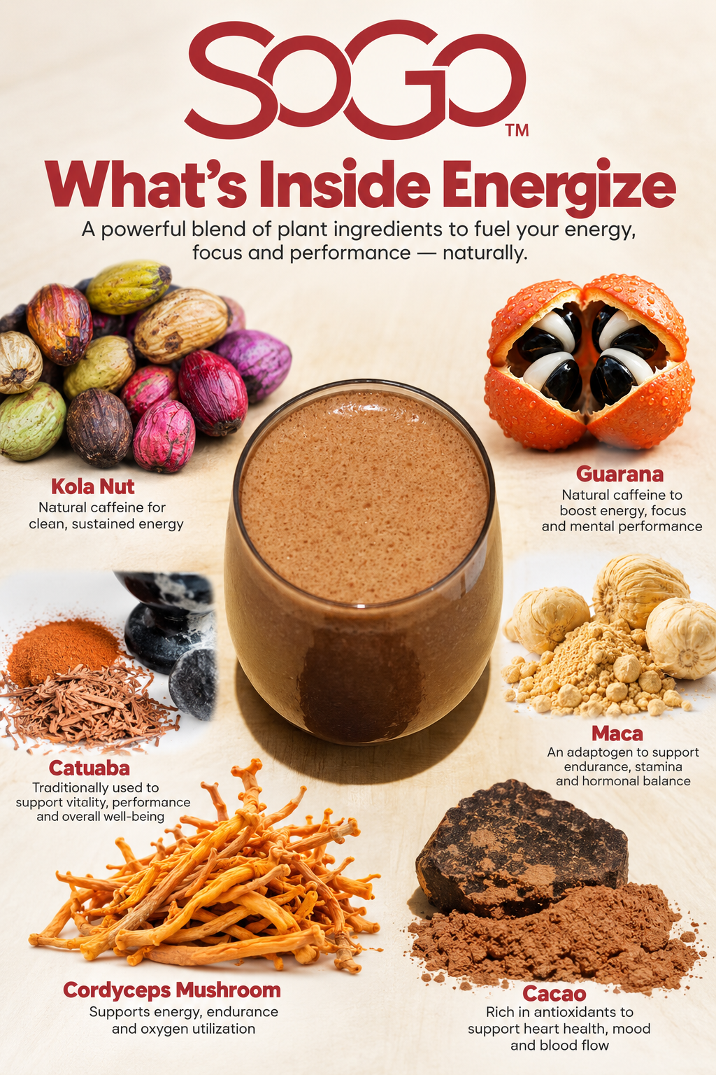 SoGo Pure Energize. What's Inside Energize.  Shows ingredients and what they offer.  In the center is the Energize Cacao Shake Smoothie