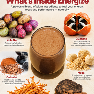SoGo Pure Energize. What's Inside Energize.  Shows ingredients and what they offer.  In the center is the Energize Cacao Shake Smoothie